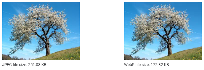 JPEG vs. WebP image size and quality differences.